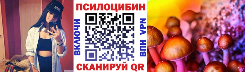 Купить закладки  Лермонтов  Псилоцибиновые грибы GOLDEN TEACHER 